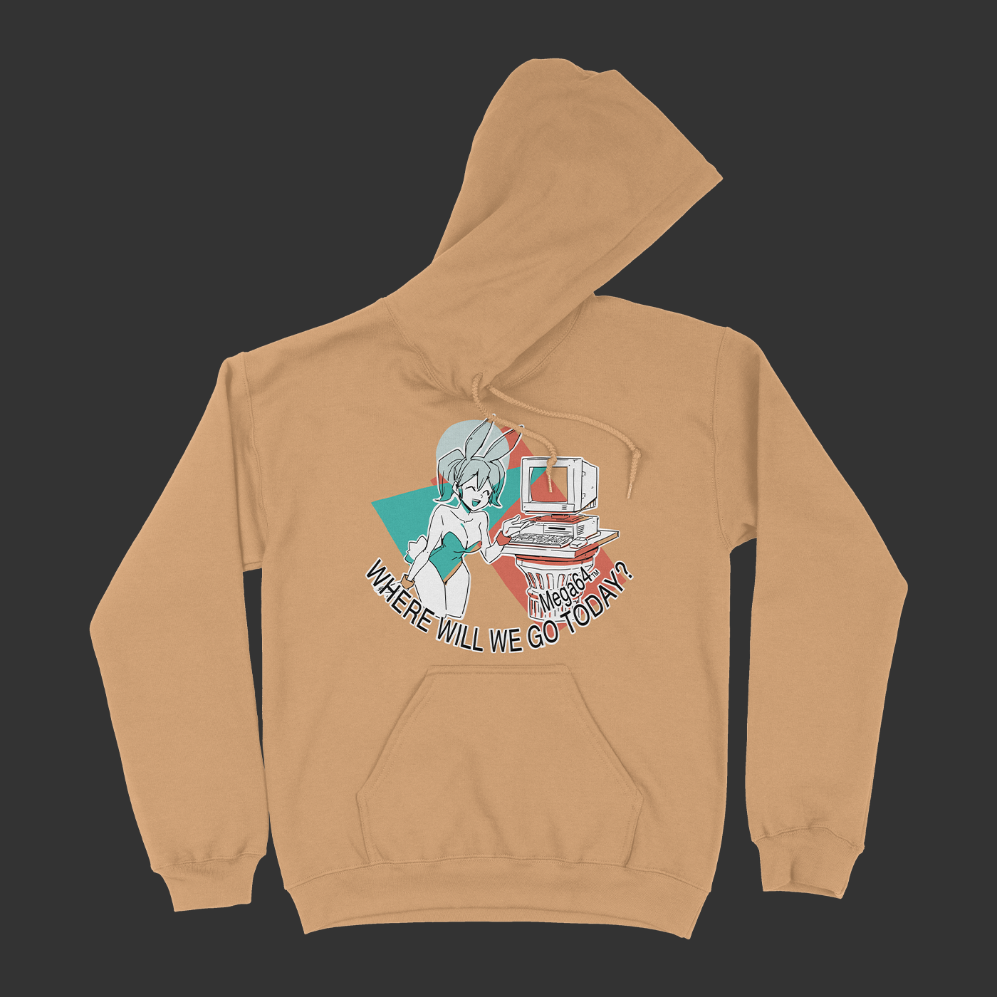 WHERE WILL WE GO TODAY? Pullover Hoodie