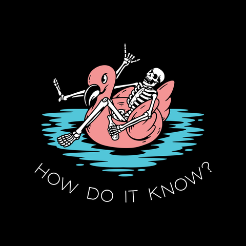 How Do It Know? Shirt